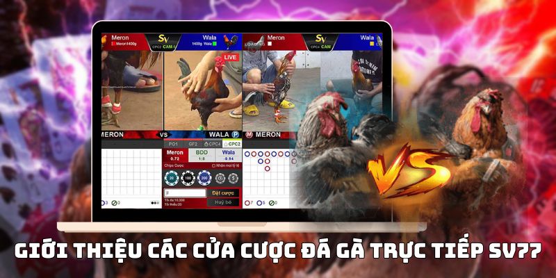 đá gà trực tiếp