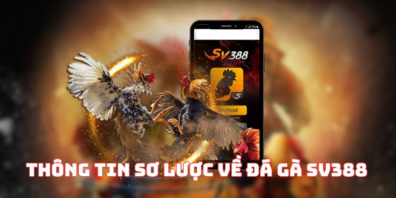 đá gà sv388