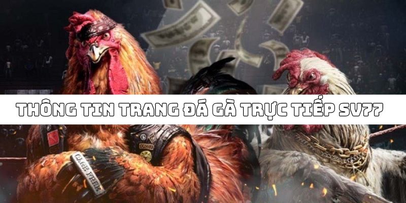 đá gà trực tiếp