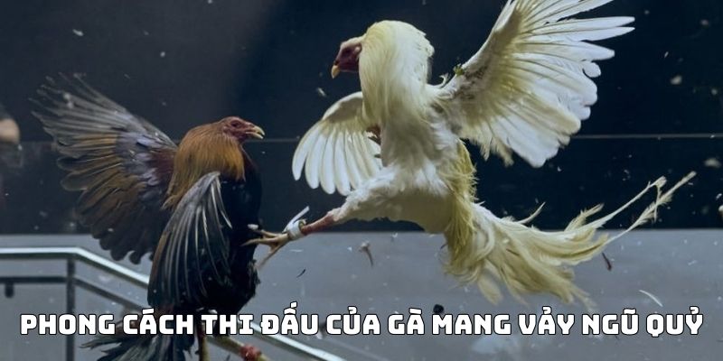 vảy gà ngũ quỷ