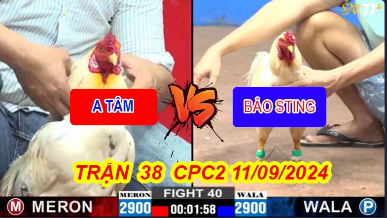 Bảo Sting Khép Lại CPC2 Bằng Chiến Thắng Ngoạn Mục Trước Tâm