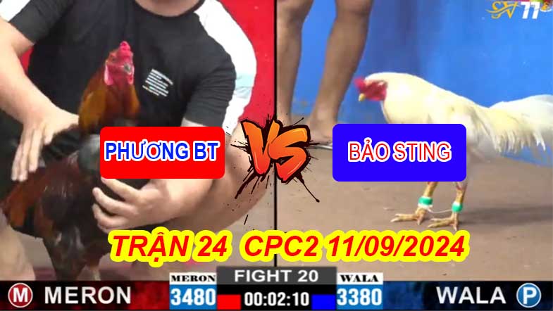 Trận 20 CPC2 11/09/2024 – Bảo Sting Hạ Phương Bến Tre Xổ 500 Triệu