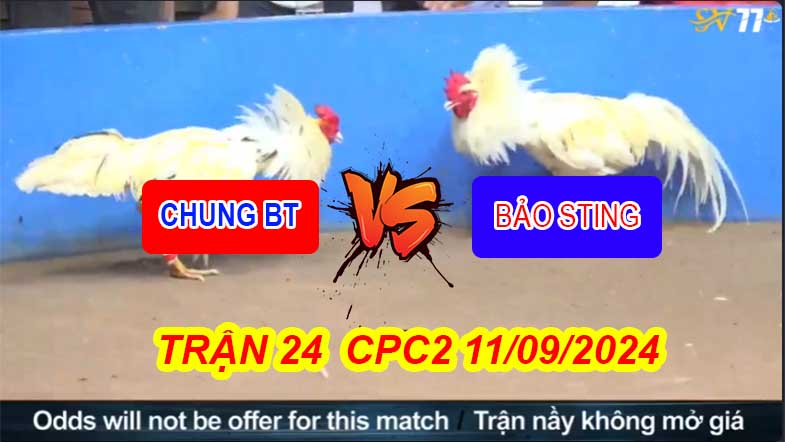 https://sv77.live/tran-26-cpc2-11-09-2024-ga-anh-bao-sting-dam-toan-ngay-uc/