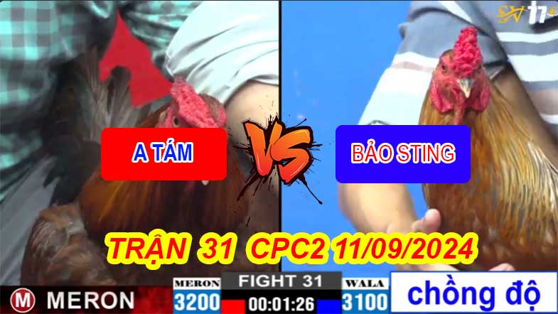 Trận 31 CPC2 11/09/2024 – Anh Tám - Anh Bảo Sting Đá Xổ 200 Triệu