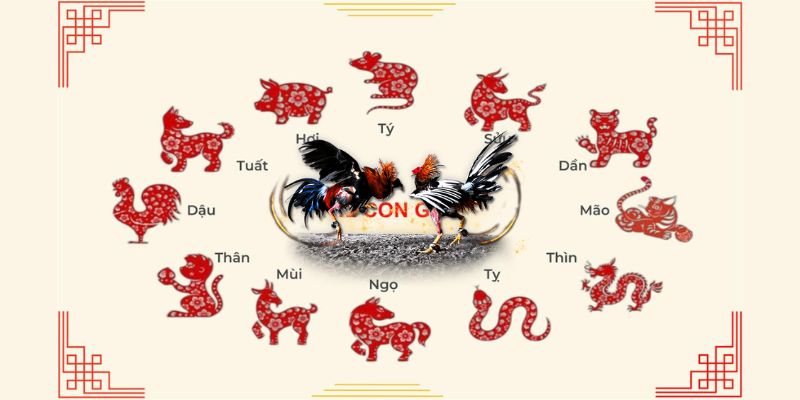 xem màu mạng gà đá