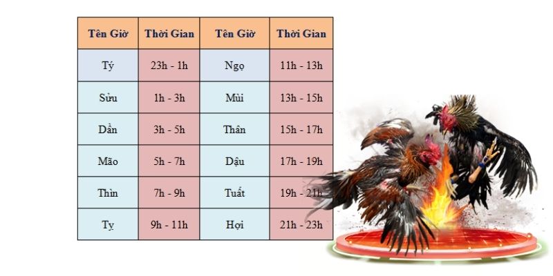 xem màu mạng gà đá