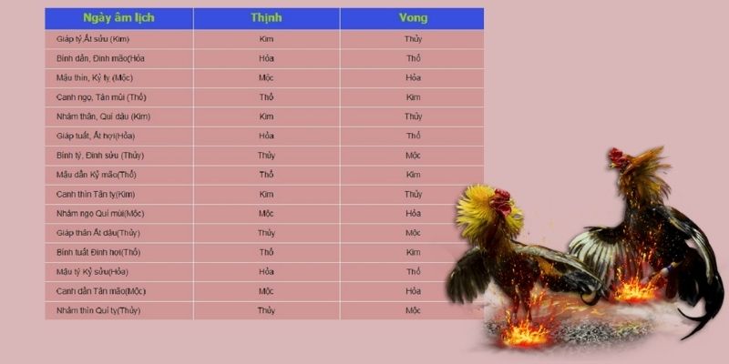 xem màu mạng gà đá