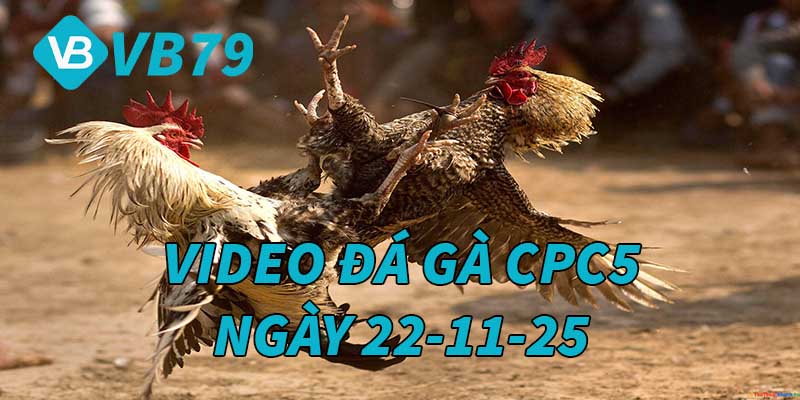 VIDEO GÀ CPC5 NGÀY 22/11/2025