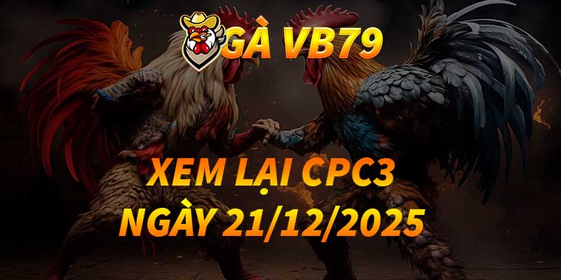 VIDEO GÀ CPC3 NGÀY 21/12/2025